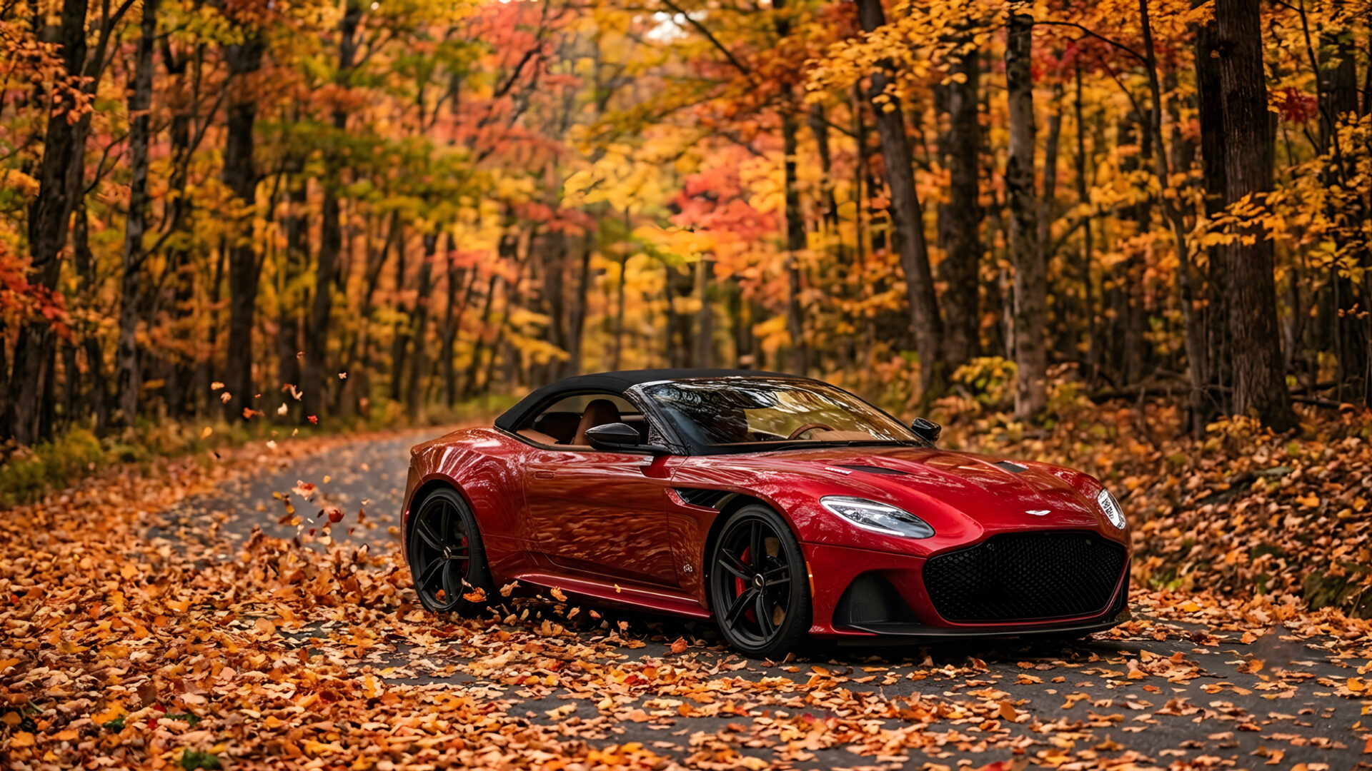 Aston Martin DBS Volante Autumn Forest 4K & 8K UHD  Wallpaper